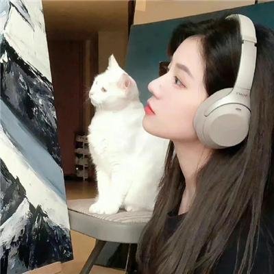好莱坞队列